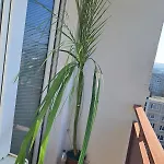 Spacious 3br In Center For 5 Floor River View With 4 Balconies Near Bojnice Apartment Prievidza