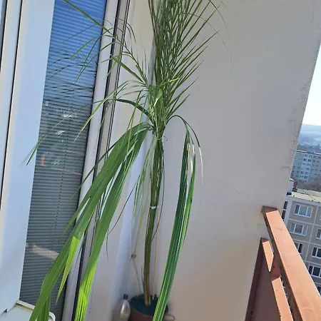 Spacious 3br In Center For 5 Floor River View With 4 Balconies Near Bojnice Apartamento Prievidza