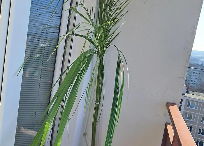 Spacious Flat In Near Bojnice With A Beautiful View Apartament Prievidza